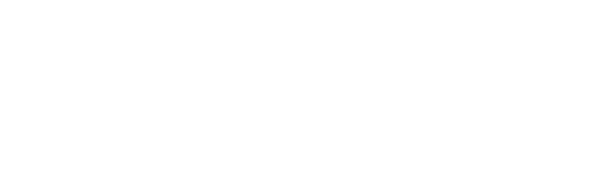 TechnoSafe International